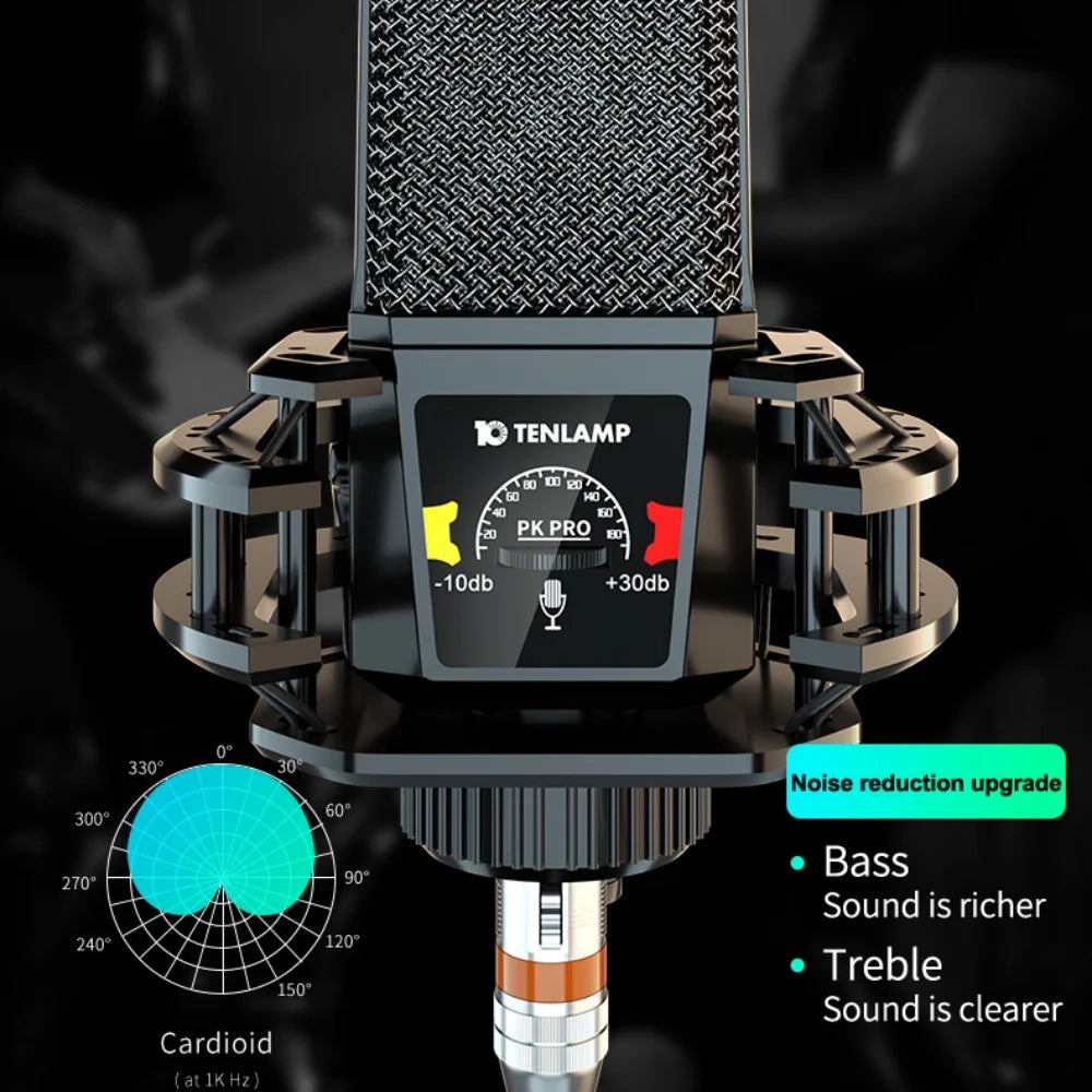PKPRO Microphone Plug & Play - ElectronAge