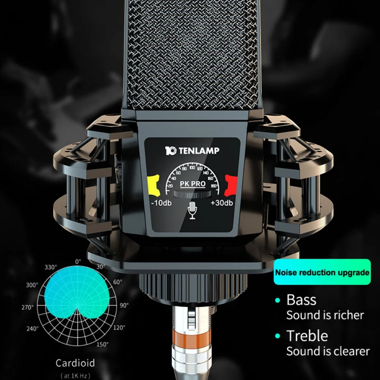 PKPRO Microphone Plug & Play - ElectronAge