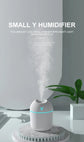 Aromatherapy Diffuser & Humidifier, Cool Mist with Night Light, Essential Oil Air Diffuser, Ultra Quiet for Home Office Bedroom