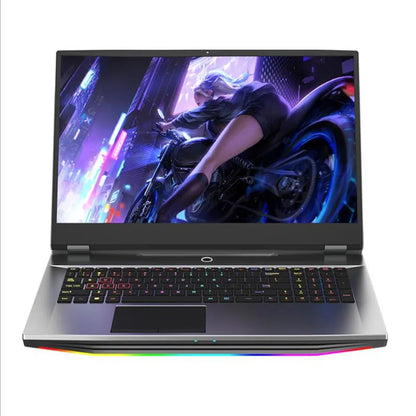 NWNLAP 17.3 inch FHD IPS Gaming Laptop - ElectronAge