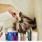 Ostrich Feather Duster