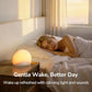 Sunrise Alarm Clock Radio - ElectronAge