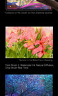 2024 HUAWEI MatePad Pro 12.2-inch Tablet Dual-layer OLED 144Hz Wifi 10100mAh