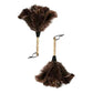 Ostrich Feather Duster