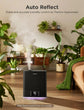 Smart Humidifier for Large Room, 6L Top-Fill Cool Mist, WiFi & App Control, 60H Runtime, Auto Mode, RGB Nightlight