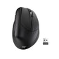 Redragon BM-4033 Wireless Vertical Ergonomic Mouse - ElectronAge