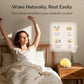 Sunrise Alarm Clock Radio - ElectronAge