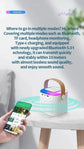 Mini Karaoke Machine LED Portable Bluetooth Speaker - ElectronAge