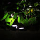 SolarPath Outdoor Solar Lights Pathway Patio Lawn Ground Lamp