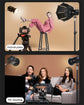 Roreta ZU80/ZU60 Photo Studio Light COB Bi-Color 2500-8500K CRI≥95 TLCI≥97 With Diffuser LED Video Lights Fill Lighting