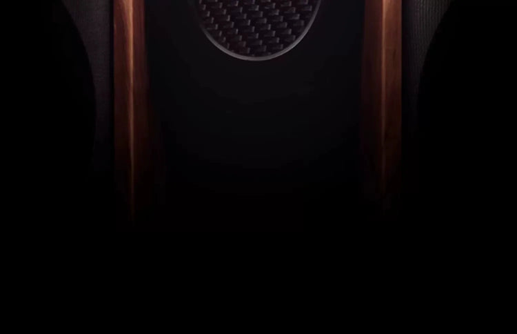 Stax Spirit S3 Gamer Earphones - ElectronAge