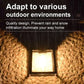 Super-cheese Solar-Powered Waterproof Outdoor Wall Light
